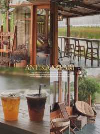 Antika Safari 🌳🪿🌼🌻🌷🧺🪑