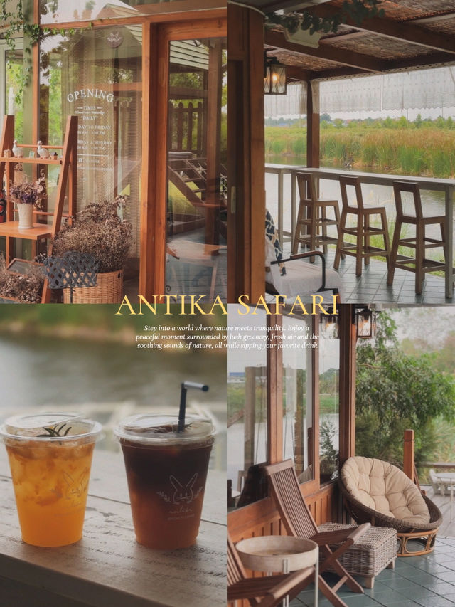 Antika Safari 🌳🪿🌼🌻🌷🧺🪑