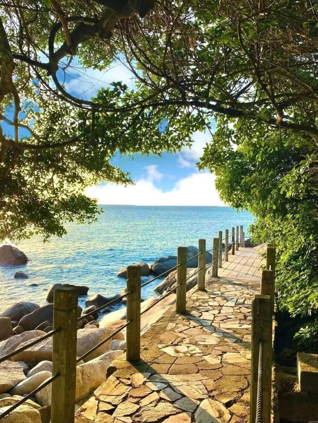 迷人的自然風景❤️‍🔥深圳行程攻略🥰