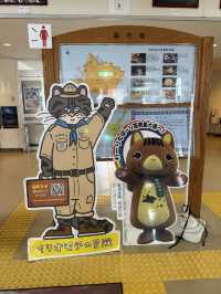 西表島の玄関口「大原港」：アクセスと周辺情報ガイド