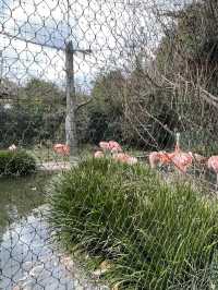 【山口】アート！遊園地！動物園！炭鉱！一日中楽しんで学べる公園・常磐公園