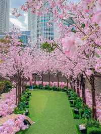 【名古屋】まだまだ間に合う！大名古屋ビルの桜イベント🌸