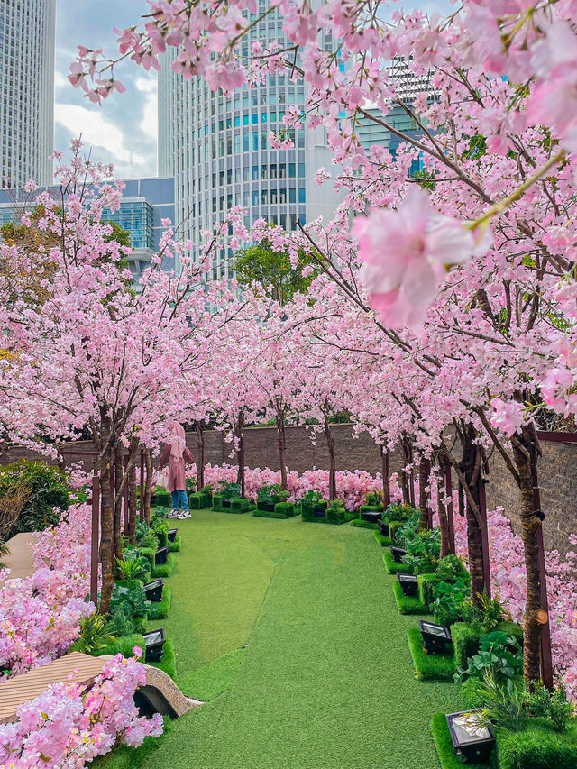 【名古屋】まだまだ間に合う！大名古屋ビルの桜イベント🌸