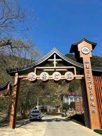 Ink-Tinted Tingxi: A Serene Masterpiece