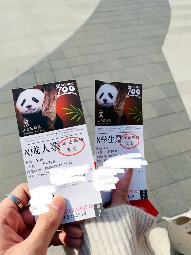 Review of Shanghai Zoo + Tips