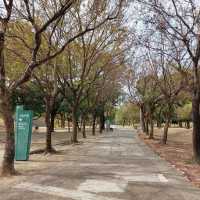 中央公園 Central Park