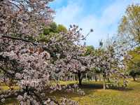 大阪賞櫻-花博公園鶴見綠地，世界各國庭園造景