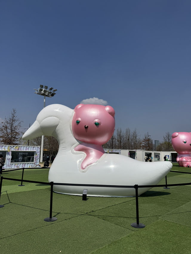 Cherry blossom in Seoul