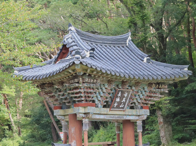 🌿 구례 천은사, 지리산 품에 안긴 고요한 쉼터