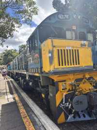 Kuranda Scenic Railway 🚂