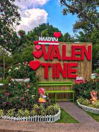 Hat Yai City Walk & Foodie Guide | Everything You Need in One Post!