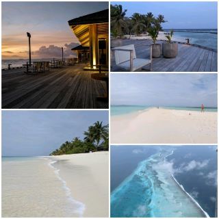 Diving in Maldives - Visibility 100%