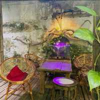 Eclectic Harmony at The Baboon House
