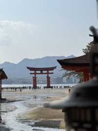 🇯🇵✨【廣島五日四夜暴走旅行團】原子彈遺跡→宮島水上鳥居→兔仔島！交通攻略+打卡秘笈全公開✨🇯🇵   喺屋企啊