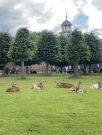 Dunham Massey – The Deer Park Near Manchester