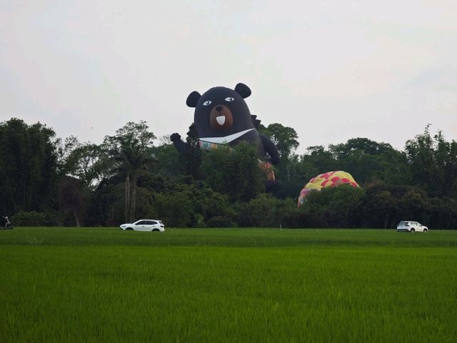 2025西拉雅森活節#西拉雅國家風景區管理處官田遊客中心-臺南市官田區