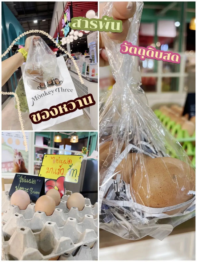 เปิดใหม่ เดอะ กลาส มาร์เก็ต บางนา