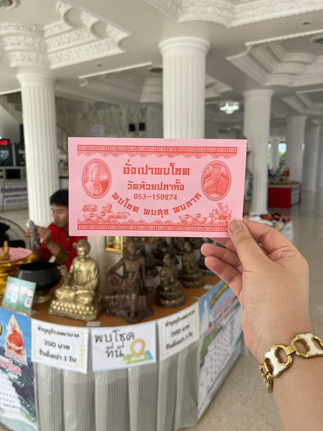 วัดห้วยปลากั้ง จ.เชียงราย🌷