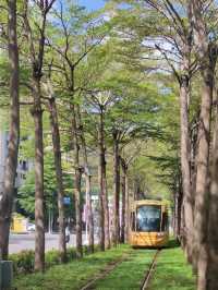 #高雄輕軌綠色隧道（龍貓隧道）-高雄市鼓山區