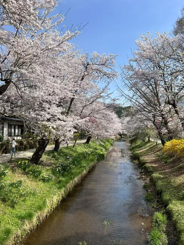 Oshino Hakkai | Who Says There's Only "Sea" Here? 🌸