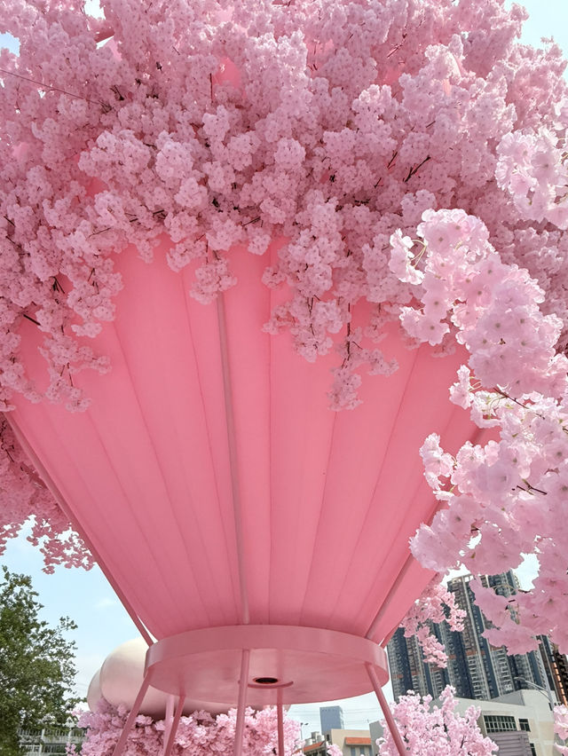 深圳偽櫻花商場🌸拍照📷