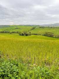 สัมผัสทุ่งหญ้าเขียวที่ ทัสคานี (Tuscany)