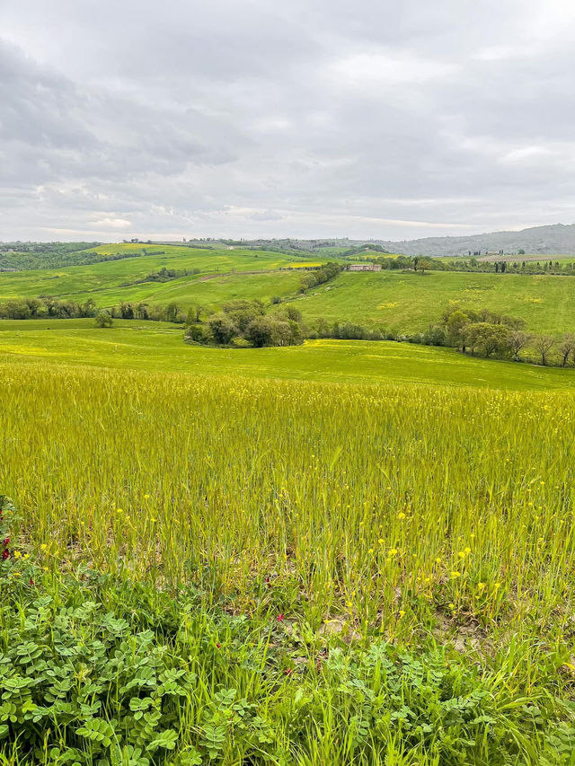 สัมผัสทุ่งหญ้าเขียวที่ ทัสคานี (Tuscany)