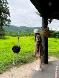 พาเที่ยว อัลปาก้าฮิลด์ #สวนผึ้ง จ.ราชบุรี