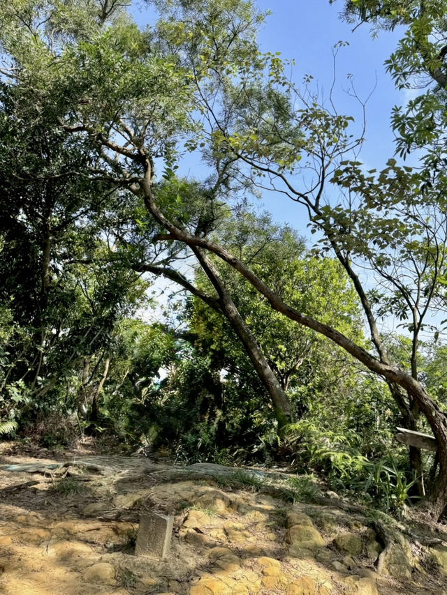 最親近台北的森林步道～富陽及黎和自然生態公園走走