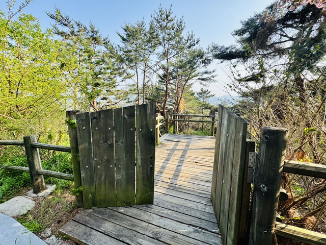 Namsan Vibes: Hike, Snap, Explore!