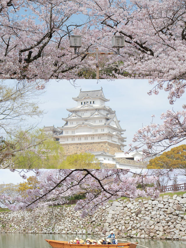 Must-Visit Kansai Cherry Blossom Routes: It's About More Than Just the Blossoms 🌸
