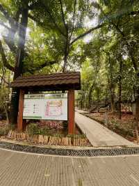 A Breath of Fresh Air: Discovering Arroceros Forest Park 