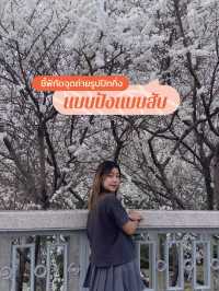 ชวนดูดอกเหมยที่ถนน Fuchengmen ปักกิ่ง🌸🌼