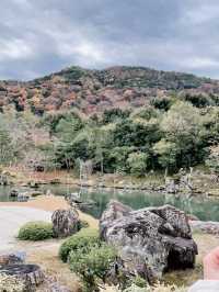 【京都🍁嵐山】一年中美しい庭園・天龍寺