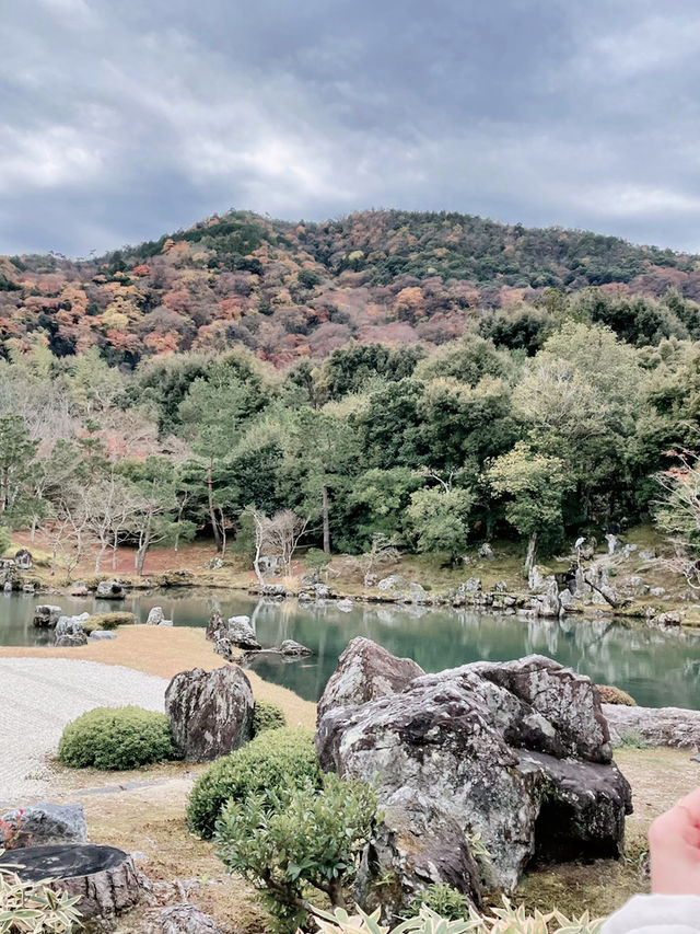 【京都🍁嵐山】一年中美しい庭園・天龍寺