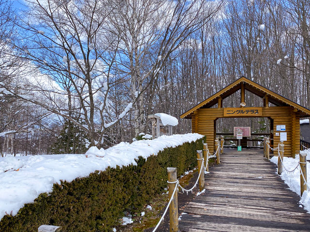 🏡 森の中の癒し空間！「ニングルテラス」でショッピング