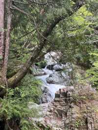 【岐阜県】付知峡にある不動滝へ🥾
