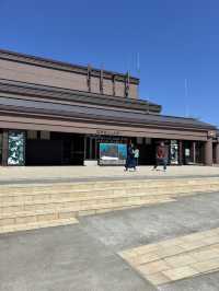 【世界遺産】知床五湖・高架木道で絶景散策！