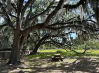 Middleton Place (Gardens) – Charleston, SC