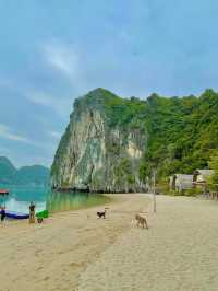 Lan Hạ