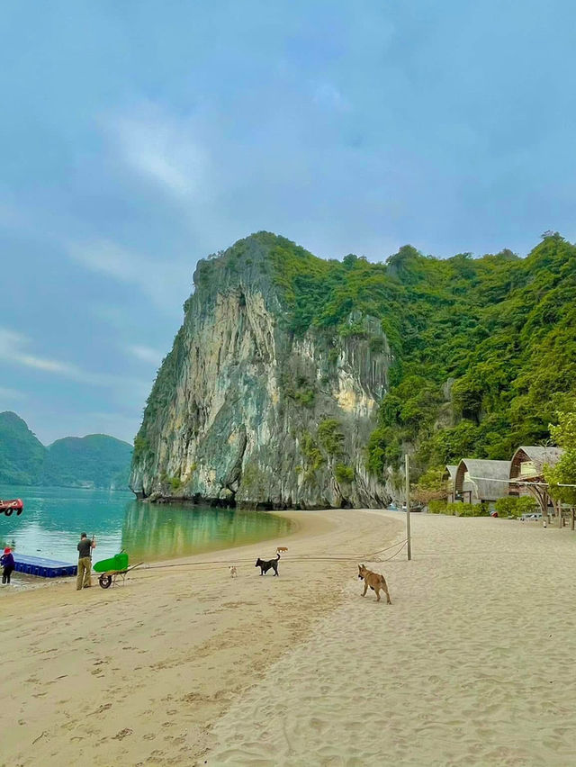 Lan Hạ