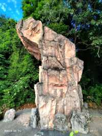Replica dragon teeth