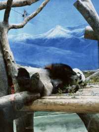 Taipei,Taiwan 5วัน4คืน กิน เที่ยว เดินชมเมือง