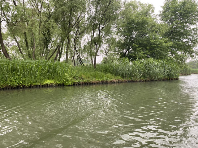 與西湖齊名的西溪國家濕地公園