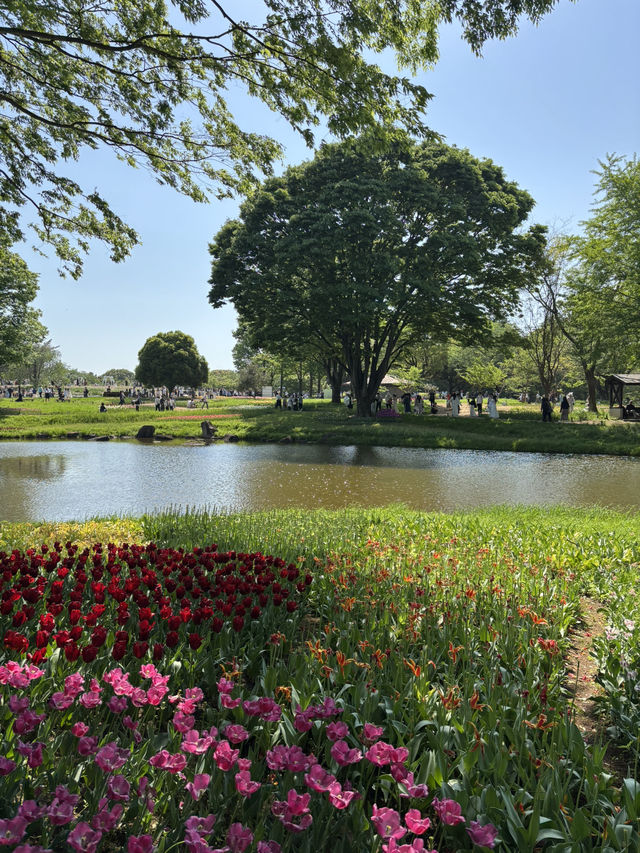 📍 国営昭和記念公園（東京都)