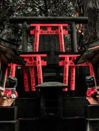 Fushimi Inari Taisha, Kyoto, Japan 🇯🇵 
