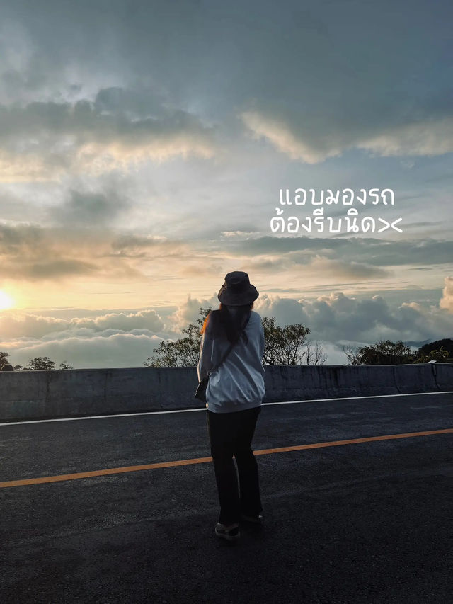 📸 How to ถ่ายรูปที่จุดชมวิวดอยอินทนนท์ให้ปัง! ⛰️