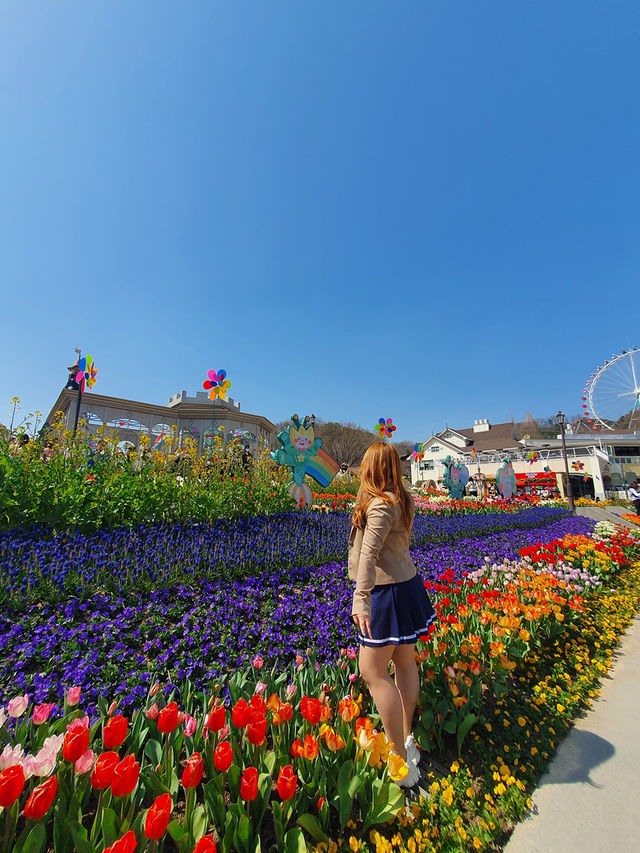 네덜란드 갈 필요 없어요🌷에버랜드 튤립 축제 완전 정복