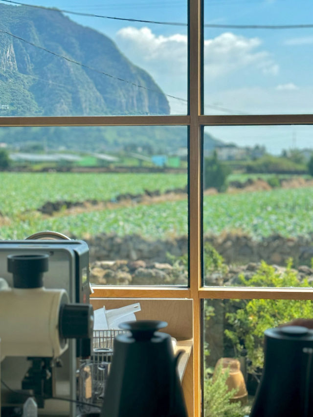 🌴제주 제주도 패스브루 산방산 카페 뷰좋은카페💙