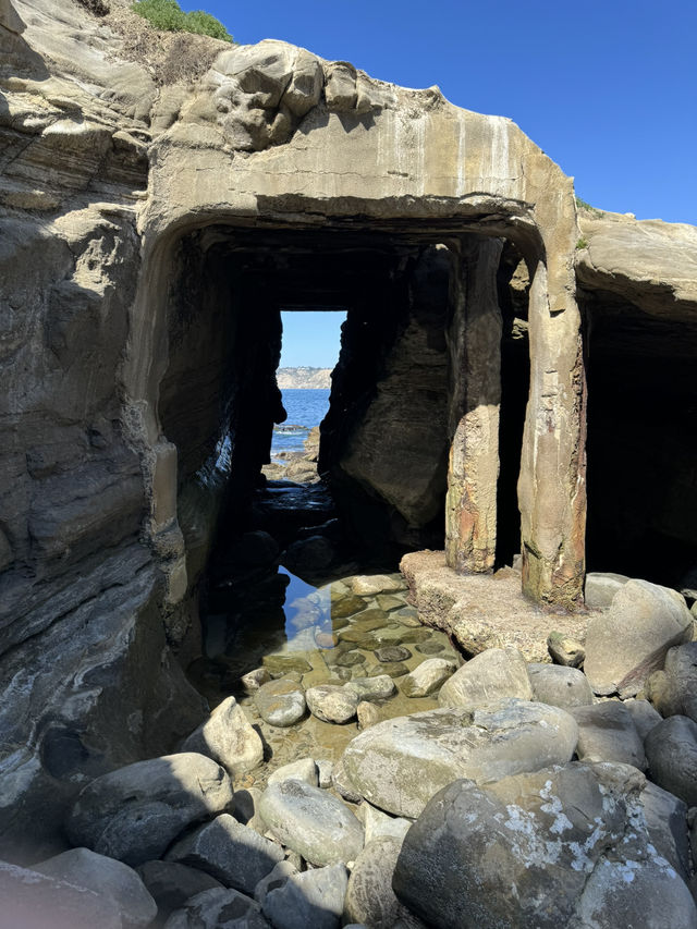 🐬 샌디에고 La Jolla Cove, 바다사자와 함께하는 해변!